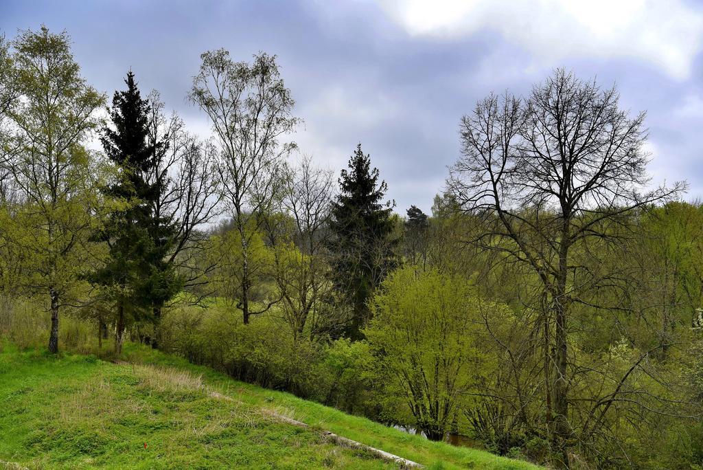 Holiday Home Turovec Tábor Buitenkant foto